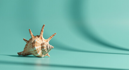 Sea shell still life photography on blue background summer beach vacation theme art