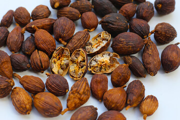 Dried Black Cardamom or Greater Cardamom