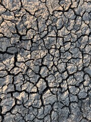 dry cracked earth
