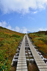 白馬八方池への登山道　秋