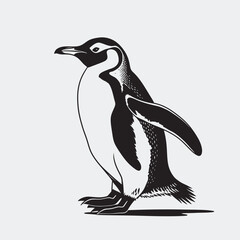 Cute penguin vector illustration with winter and arctic wildlife theme