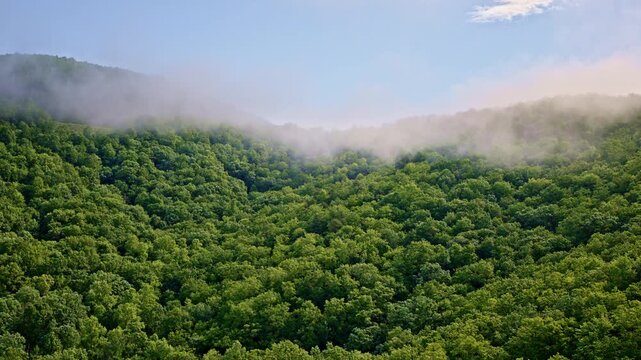 From above, the Smoky Mountains rise like islands in a tide of drifting fog.