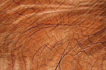 Fototapeta premium Cracked Reddish Wood Texture