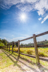 Lush Green Farm Fields Showcasing Vibrant Natural Scenery
