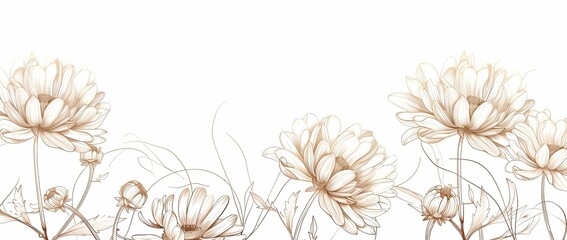 Elegant sepia chrysanthemum border; white background; website header