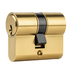 A shiny brass euro cylinder lock, typically used for door security. This durable component ensures home and property protection.