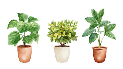 Fototapeta premium Elegant indoor plants in watercolor style, providing a fresh and vibrant natural aesthetic to a