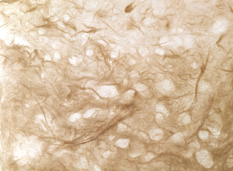 和紙、背景、テクスチャ、素材