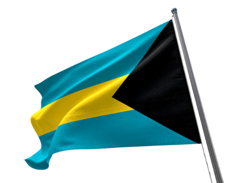 Bahamas Flag Waving Illustration PNG