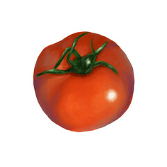 tomato 