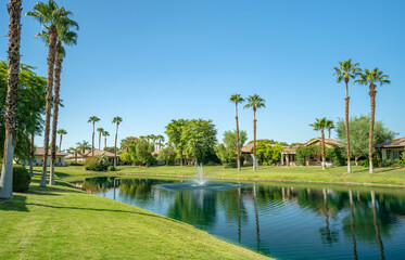 Palm Springs a backyard neighborhood California.