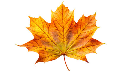 Fototapeta premium An abstract image of a swirling vortex of vibrant paint and light, capturing a sense of dynamic motion and cosmic energy motion, energy