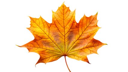 An abstract image of a swirling vortex of vibrant paint and light, capturing a sense of dynamic motion and cosmic energy
motion, energy