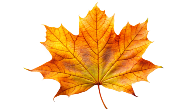 An abstract image of a swirling vortex of vibrant paint and light, capturing a sense of dynamic motion and cosmic energy
motion, energy