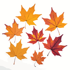 Obraz premium Collection of warm-toned autumn leaves on a white background creates a vibrant and cheerful image Suitable for seasonal designs and decorative elements.