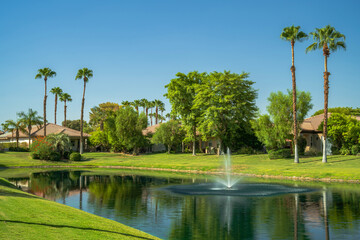 Palm Springs a backyard neighborhood California.