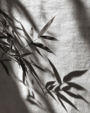 Bamboo leaves casting shadows on textured fabric, minimalist interior design, home decor brochure, wellness background, nature lifestyle blog

