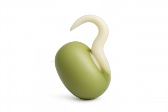 Soybean seed sprouting, green shoot breaking through seed coat, symbolizing agricultural growth and potential on clean background