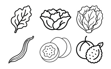 Assortment of fresh vegetables and fruits, including lettuce, cabbage, arugula, and persimmon, isolated on white background