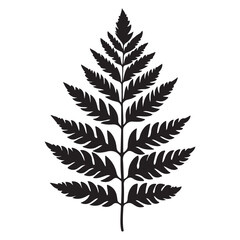 Naklejka premium fern leaves logo vector silhouette illustration, fern leaf logo icon silhouette, bracken fern leaf silhouette vector illustration, black silhouette of a fern leaf on white background.