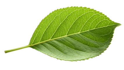 An abstract image of a swirling vortex of vibrant paint and light, capturing a sense of dynamic motion and cosmic energy
motion, energy