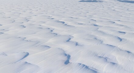 Abstract Winter Landscape of Wind-Blown Snowdrifts with Intricate Ripples and Subtle Shadows