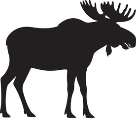 Black Silhouette Moose Standing On White Background With Large Antlers animal wildlife