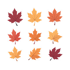 Fototapeta premium Collection of colorful maple leaves in various autumnal shades arranged on a clean white background Ideal for seasonal designs and decorations.