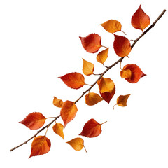Vibrant Autumn Leaves on Branch Showcasing Rich Fall Colors