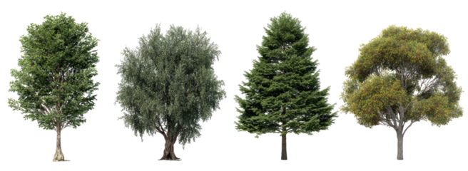 Four diverse tree silhouettes against a black background