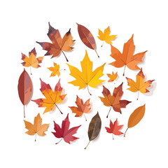 Obraz premium Variety of colorful autumn leaves are arranged in a pleasing circular pattern with a textured watercolor style, isolated on white Ideal for seasonal and decorative designs.