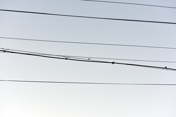 Parallel Electrical Wires Against a Clear Sky