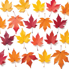 Fototapeta premium Vibrant arrangement of autumn leaves displays fall colors from yellow to red on a white background, perfect for backgrounds or seasonal designs.