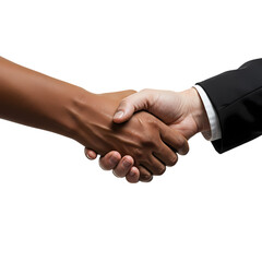 Handshake: Business Deal, Partnership, Agreement, Collaboration