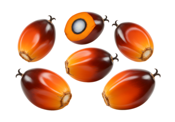 Fresh palm oil fruits: vibrant raw ingredient with a healthy oil source and nutrient-rich properties