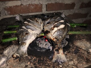 Grilled fish on the grill 