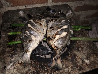 Grilled fish on the grill 