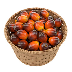 Freshly harvested palm oil fruits in a woven basket, ready for processing into valuable commodity