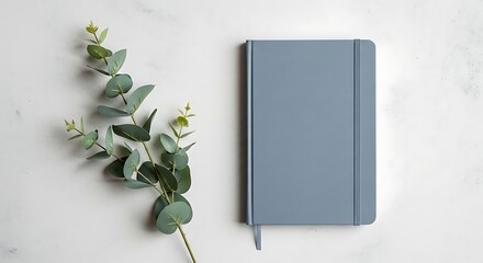 Minimalist flat lay of a closed blue notebook next to a delicate eucalyptus branch on a textured white background