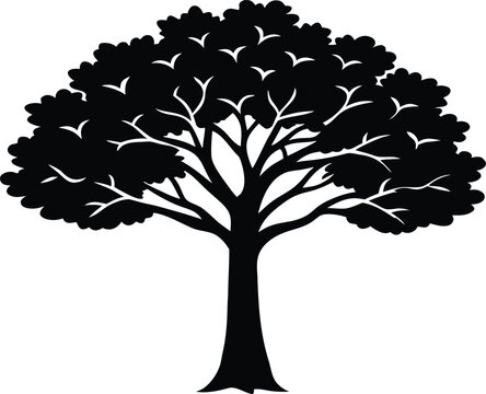 Cottonwood Tree Vector Silhouette Clipart for Nature