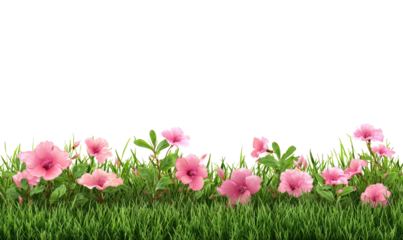 Pink flowers border a grassy area.  Soft pink blossoms are in a row atop a grassy lawn