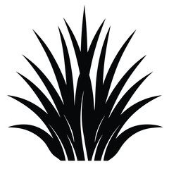 blue fescue grass vector icon