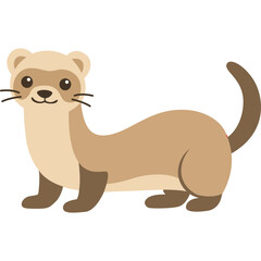 Flat vector illustration of ferret animal standing on four legs with long body, isolated on white background for design.