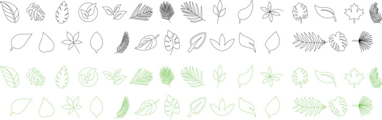 Leaf icon collection in hand drawn and minimal style. essential botanical vector set includes tropical, maple, palm, and feather leaves, perfect for eco, organic, and nature theme designs