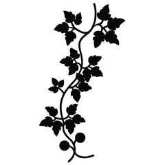 climbing vine vector icon