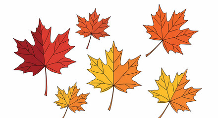 Vibrant maple leaves in autumn colors, perfect for seasonal designs and Thanksgiving celebrations