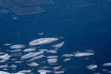 The ice that began to melt © 多田 智