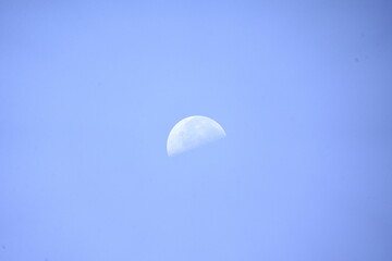 昼間に見えた半月