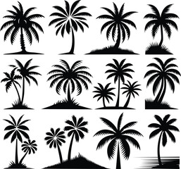 set of palm trees