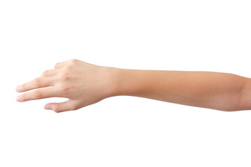 young woman's hands in beautiful poses on white background